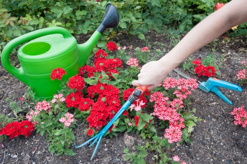 A gardening scene in a typical UK backyard with a focus on flower bed maintenance. The image shows a person's hand holding a small hand rake, tending to a variety of red and pink flowering plants arranged along the edge of a flower bed. To the left, a green plastic watering can rests on the dark, rich soil, which appears freshly turned and free of weeds. In the background, dense green foliage and hedges border the garden area, creating a natural enclosure. The garden surface includes a mix of soil and small patches of grass, with a wooden deck or paving visible at the edge. The scene is well-lit with natural daylight, suggesting a bright, clear day, and emphasizes typical outdoor gardening activities that Lawn Mowing Bow might provide, such as flower bed maintenance, planting, and general garden care in the local area near Bow, East London.