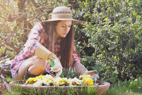 Healthy green lawn with no weeds