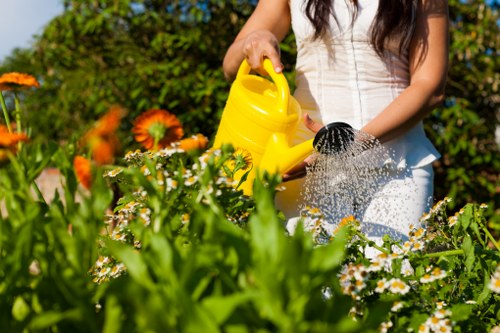 A woman tending her garden in a landscaped outdoor space, with a lush green lawn surrounded by flower beds filled with various blooming plants, such as daisies and marigolds. She is wearing a light-colored dress and holding a yellow watering can, watering the plants while standing on a paved patio area. In the background, there are hedge-like shrubs and trees that add height and natural enclosure to the garden. The scene is illuminated by natural sunlight, suggesting a clear, bright day typical of a well-maintained garden in Bow, London, with a focus on outdoor gardening and lawn care. The garden showcases a combination of soft green grass, vibrant flower colours, and neatly arranged plant beds, reflecting professional landscaping and gardening practices suitable for local residential outdoor spaces.