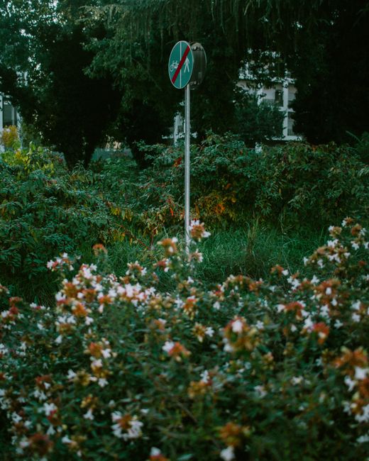 A gardener dressed in a navy uniform with reflective stripes and wearing a traditional conical straw hat is outdoors, leaning into a green wheelie bin with one leg raised on a neatly trimmed hedge. Th